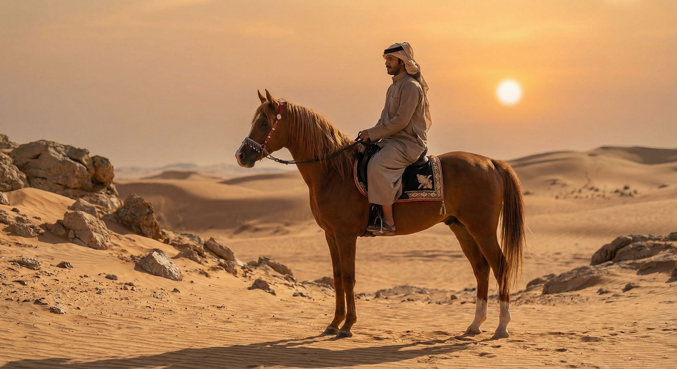 خيل عربي وفرسان - نادي إتقان الفروسية